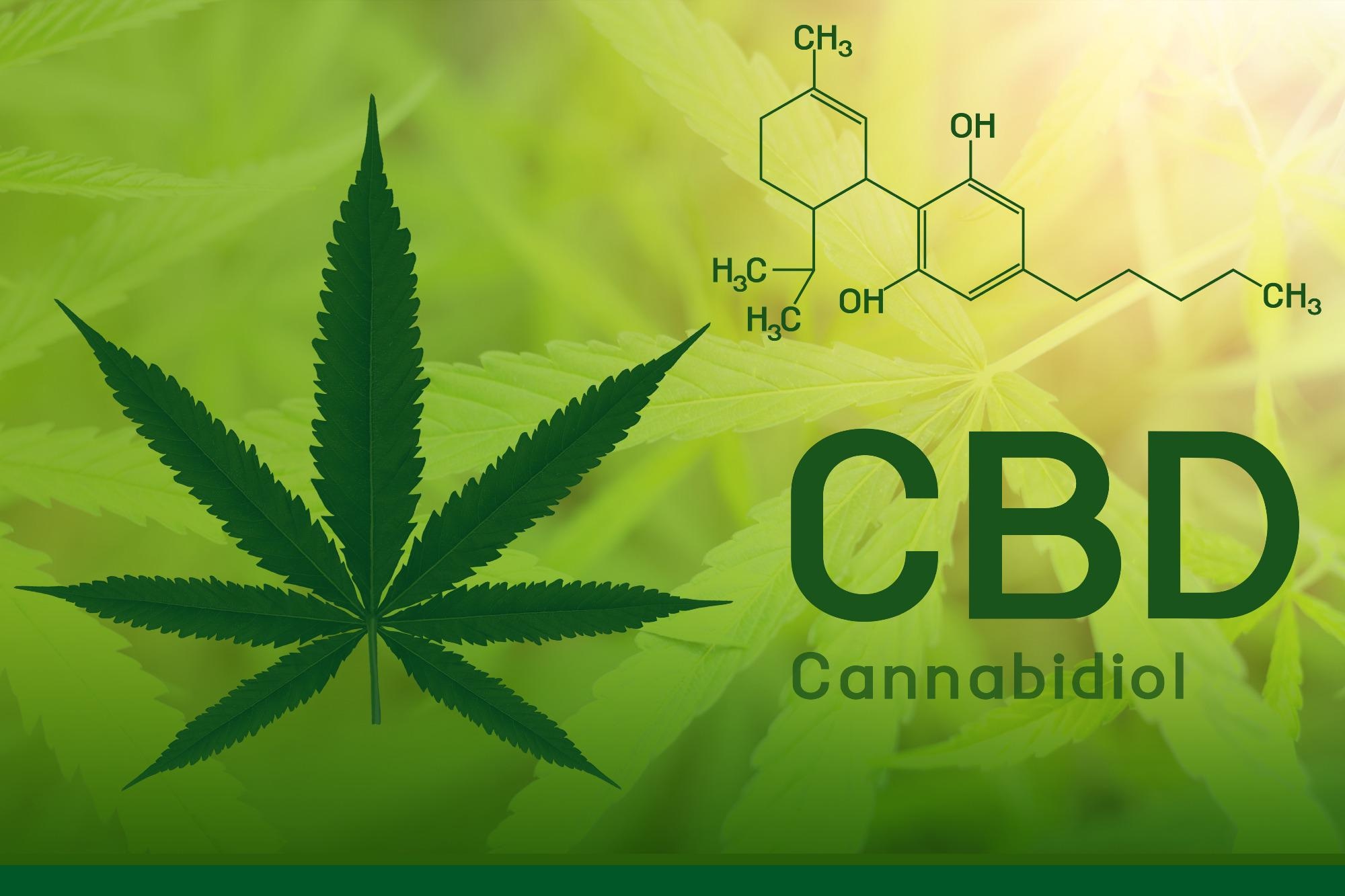 What Is Cbn And How Is It Different From CBD